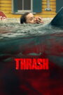 Thrash