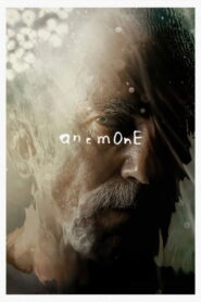 Anemone (2025) – Full HD Movie Download & Watch FREE
