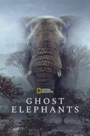 Ghost Elephants (2026) – Full HD Movie Download & Watch FREE