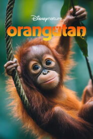 Orangutan (2026) – Full HD Movie Download & Watch FREE