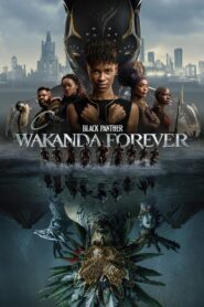 Black Panther: Wakanda Forever (2022) – Full HD Movie Download & Watch FREE